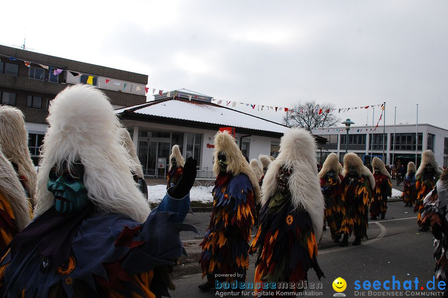 Faschingsumzug: Oberteuringen, 23.01.2010