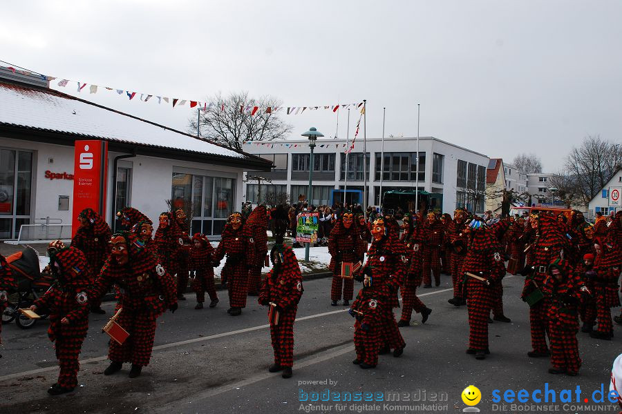 Faschingsumzug: Oberteuringen, 23.01.2010