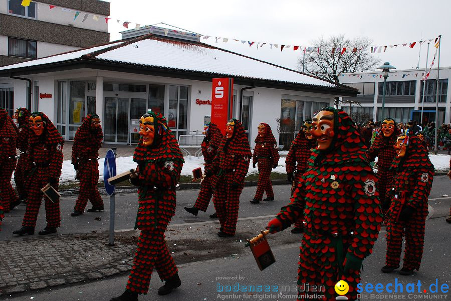 Faschingsumzug: Oberteuringen, 23.01.2010