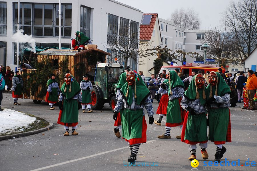 Faschingsumzug: Oberteuringen, 23.01.2010