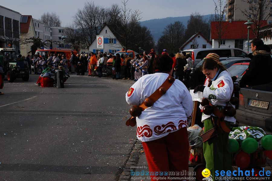 Faschingsumzug: Oberteuringen, 23.01.2010