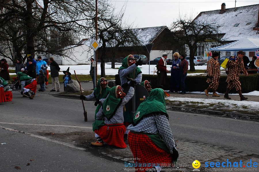 Faschingsumzug: Oberteuringen, 23.01.2010