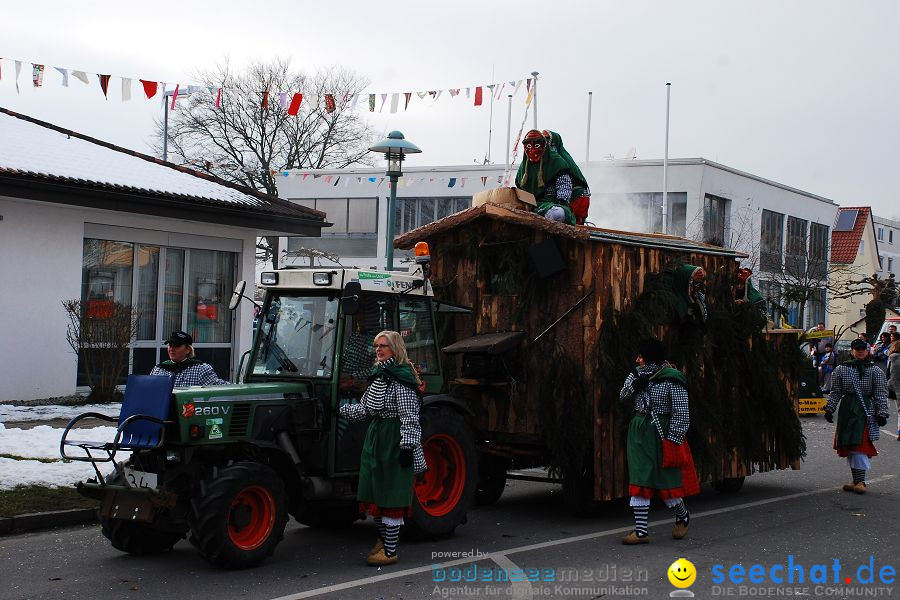 Faschingsumzug: Oberteuringen, 23.01.2010