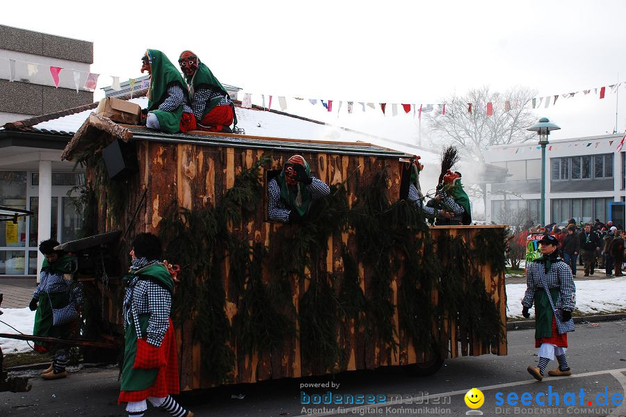 Faschingsumzug: Oberteuringen, 23.01.2010