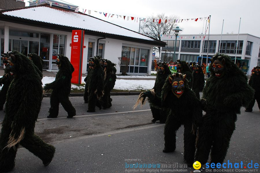 Faschingsumzug: Oberteuringen, 23.01.2010