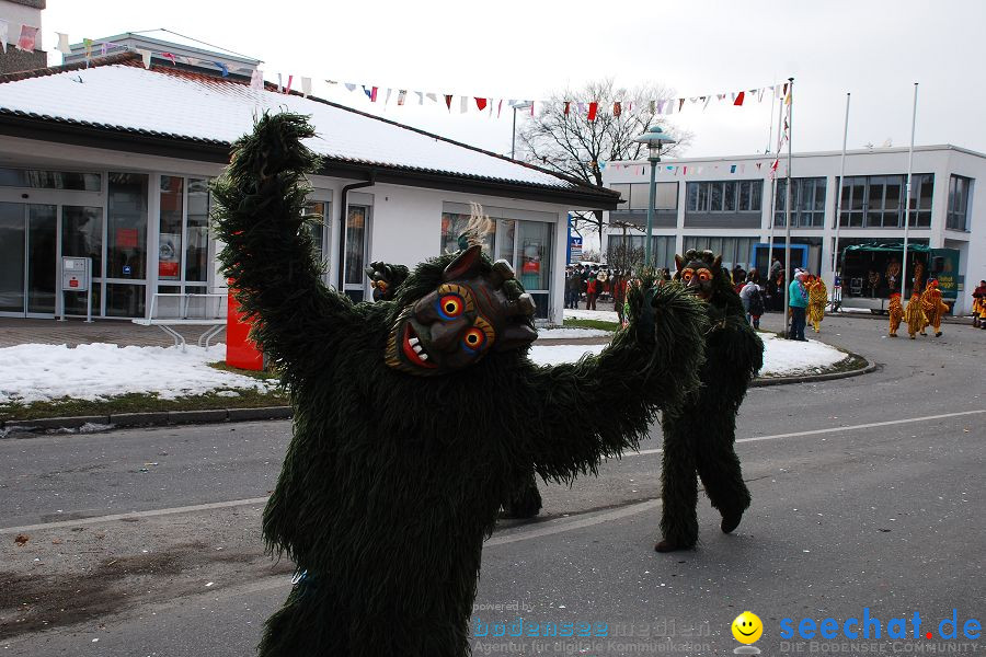 Faschingsumzug: Oberteuringen, 23.01.2010