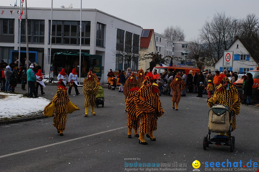 Faschingsumzug: Oberteuringen, 23.01.2010