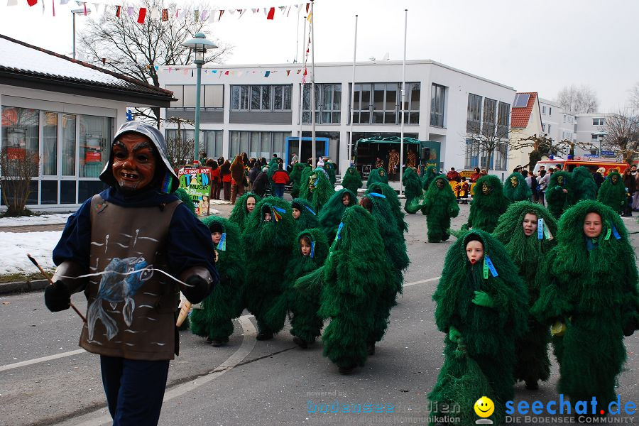 Faschingsumzug: Oberteuringen, 23.01.2010