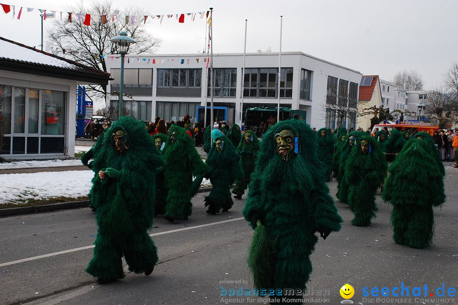 Faschingsumzug: Oberteuringen, 23.01.2010