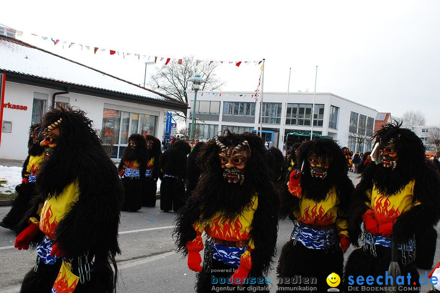 Faschingsumzug: Oberteuringen, 23.01.2010