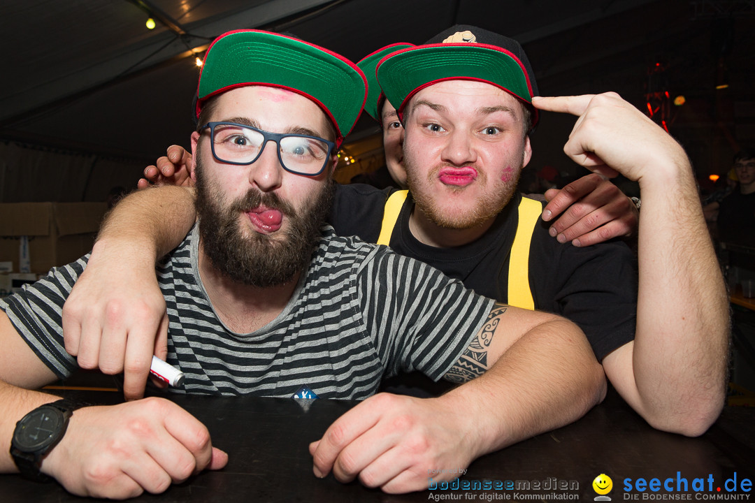 MegaElevenParty Vol.8 - Narrenverein: Bierstetten, 14.01.2017