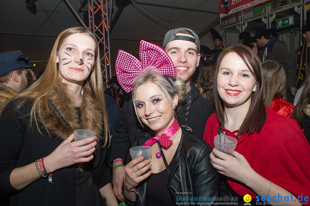 MegaElevenParty Vol.8 - Narrenverein: Bierstetten, 14.01.2017