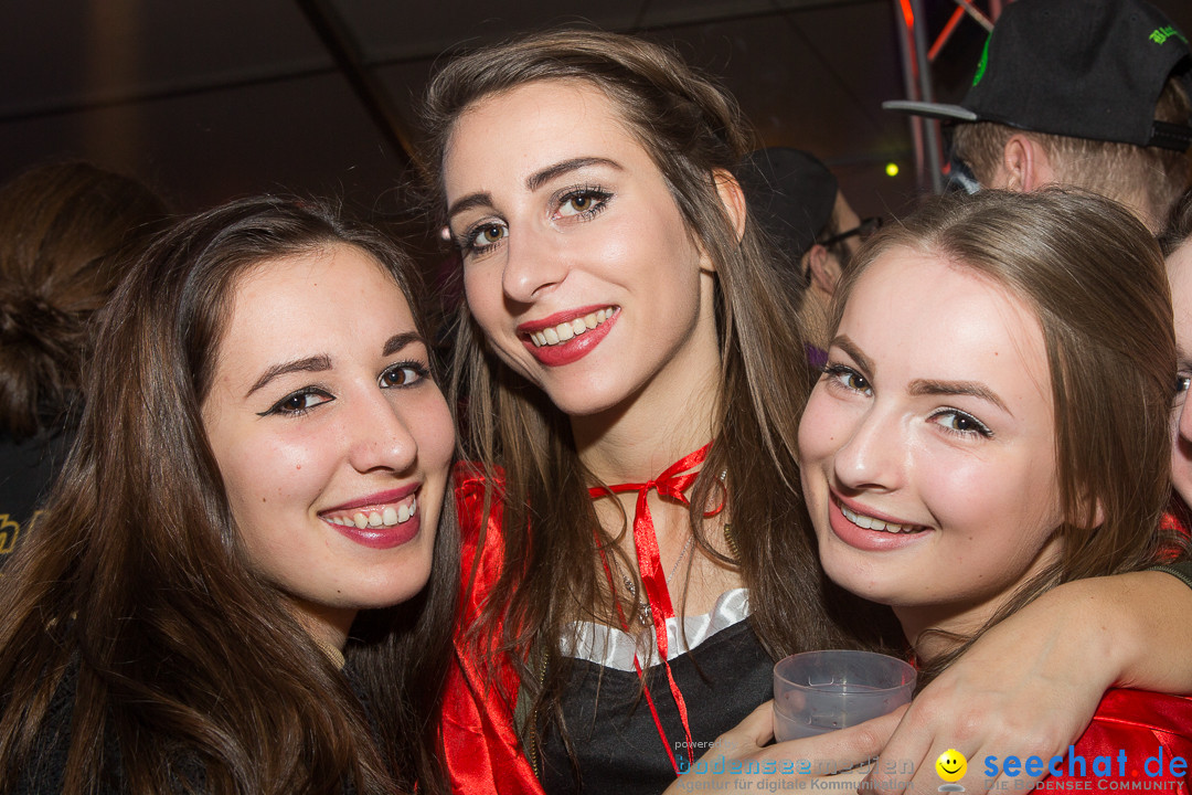 MegaElevenParty Vol.8 - Narrenverein: Bierstetten, 14.01.2017