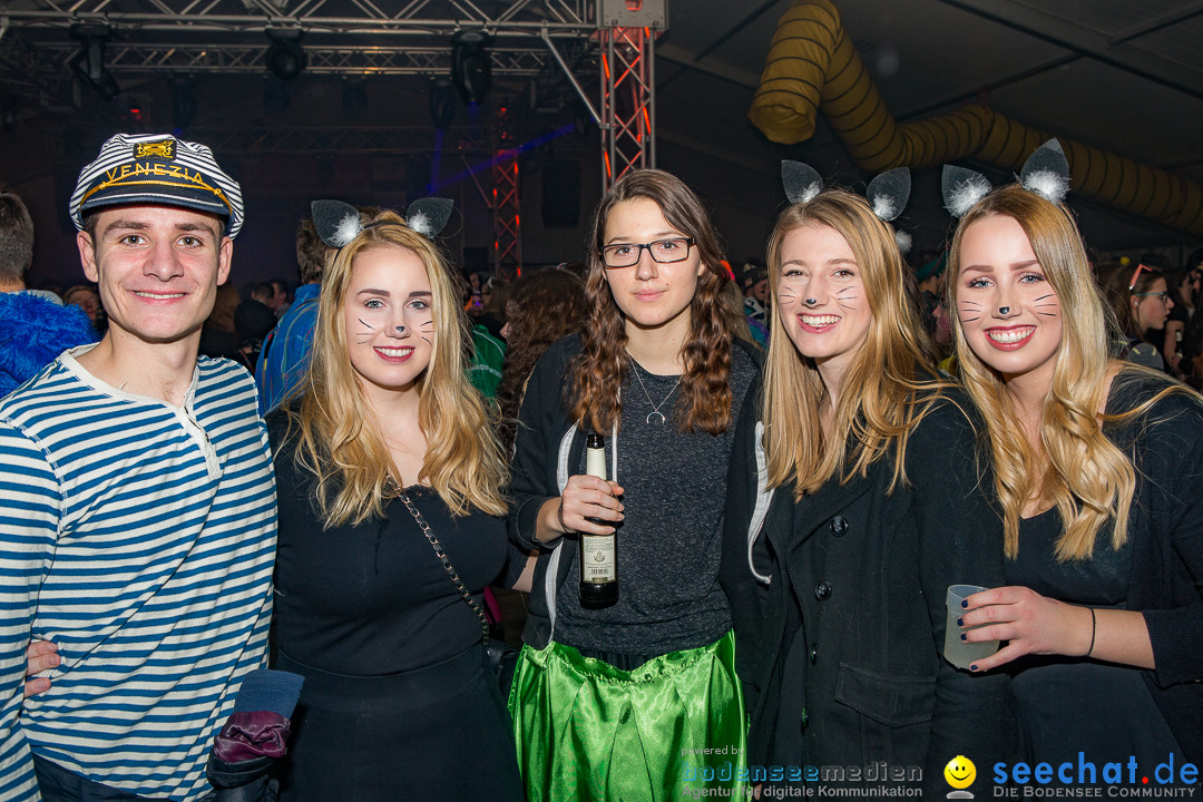 MegaElevenParty Vol.8 - Narrenverein: Bierstetten, 14.01.2017