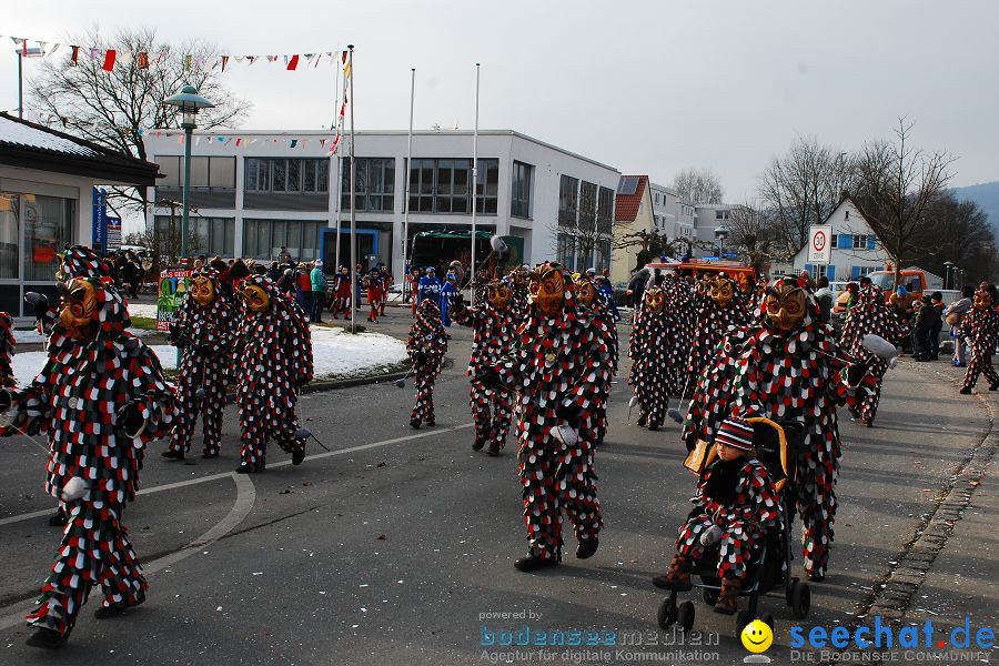 Faschingsumzug: Oberteuringen, 23.01.2010