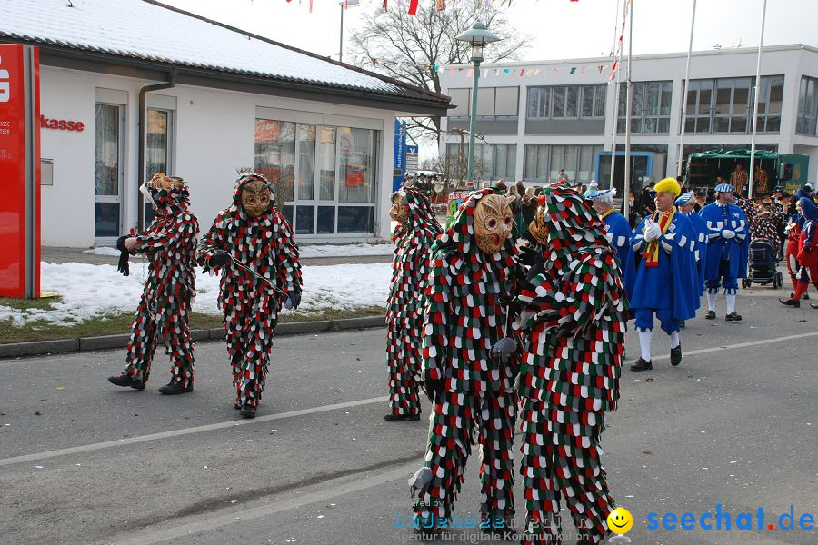 Faschingsumzug: Oberteuringen, 23.01.2010