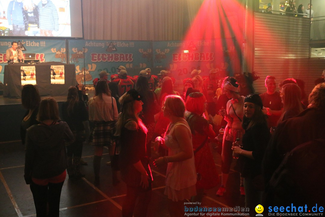 Elchball: Ettenkirch - Friedrichshafen, 20.01.2017