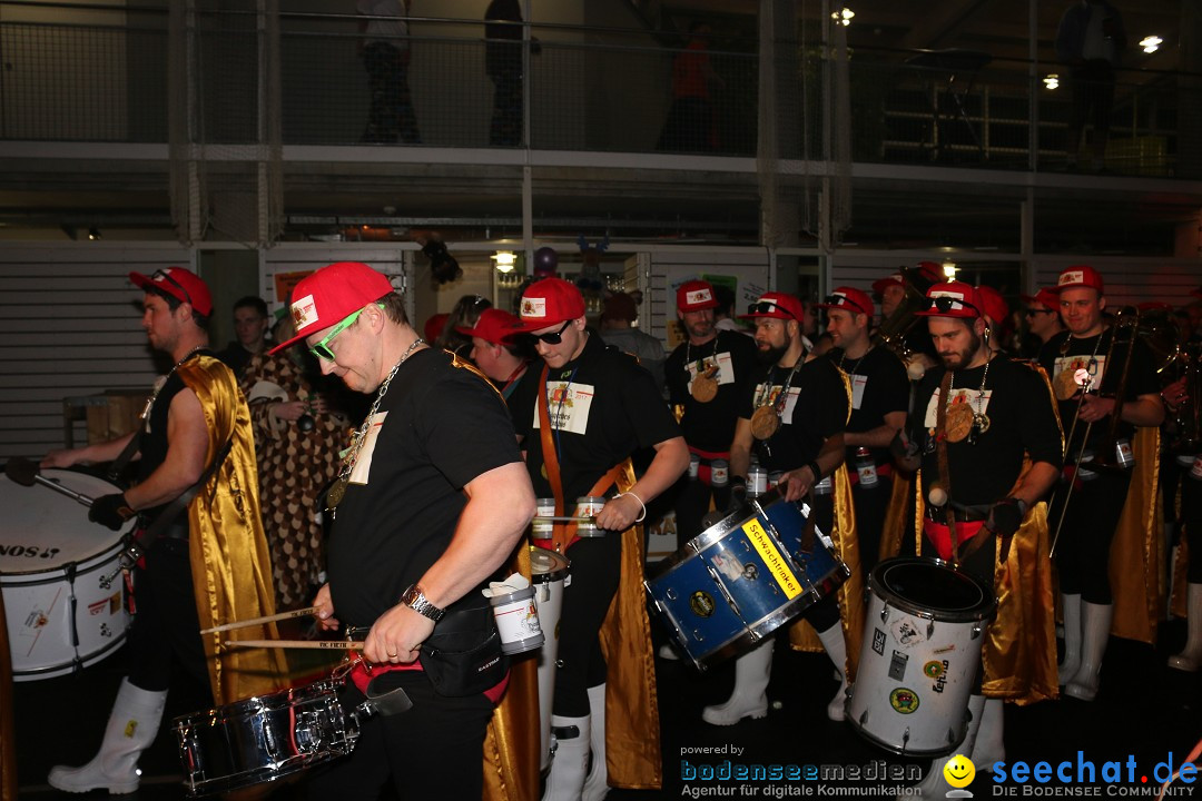 Elchball: Ettenkirch - Friedrichshafen, 20.01.2017