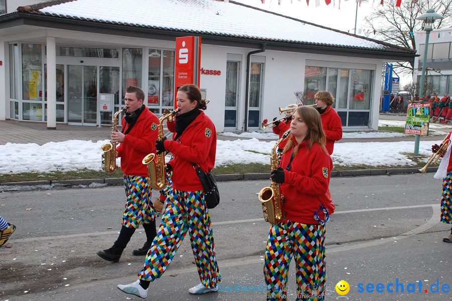 Faschingsumzug: Oberteuringen, 23.01.2010