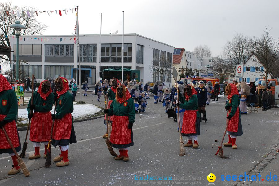 Faschingsumzug: Oberteuringen, 23.01.2010