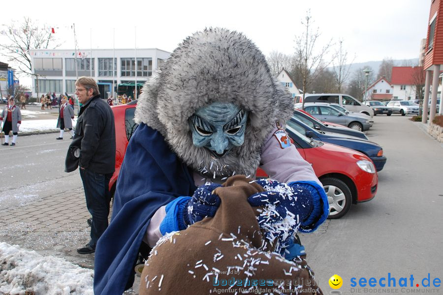 Faschingsumzug: Oberteuringen, 23.01.2010