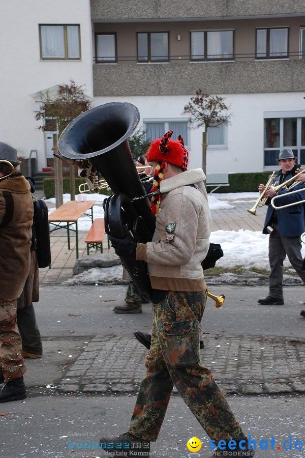 Faschingsumzug: Oberteuringen, 23.01.2010