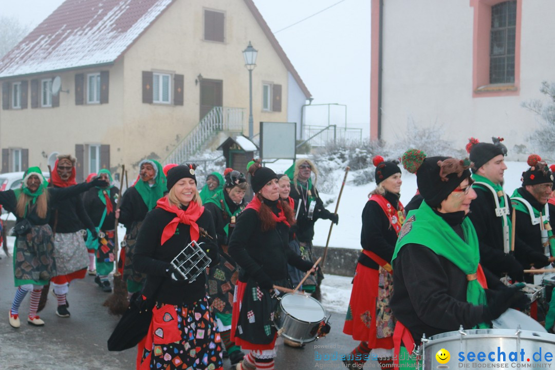 HoTaBo-Narro Umzug und Party: Hohenbodman am Bodensee, 21.01.2017