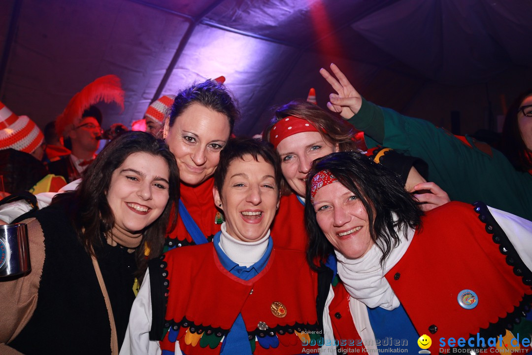 HoTaBo-Narro Umzug und Party: Hohenbodman am Bodensee, 21.01.2017