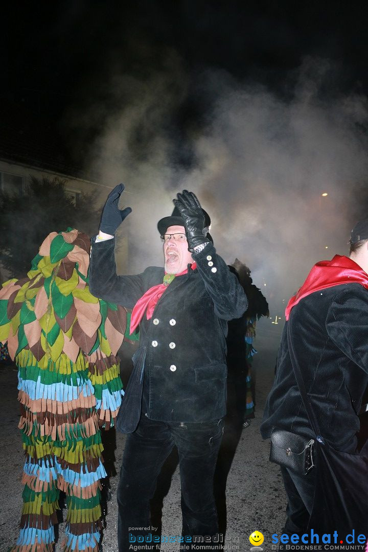 Nachtumzug: Wahlwies am Bodensee, 21.01.2017