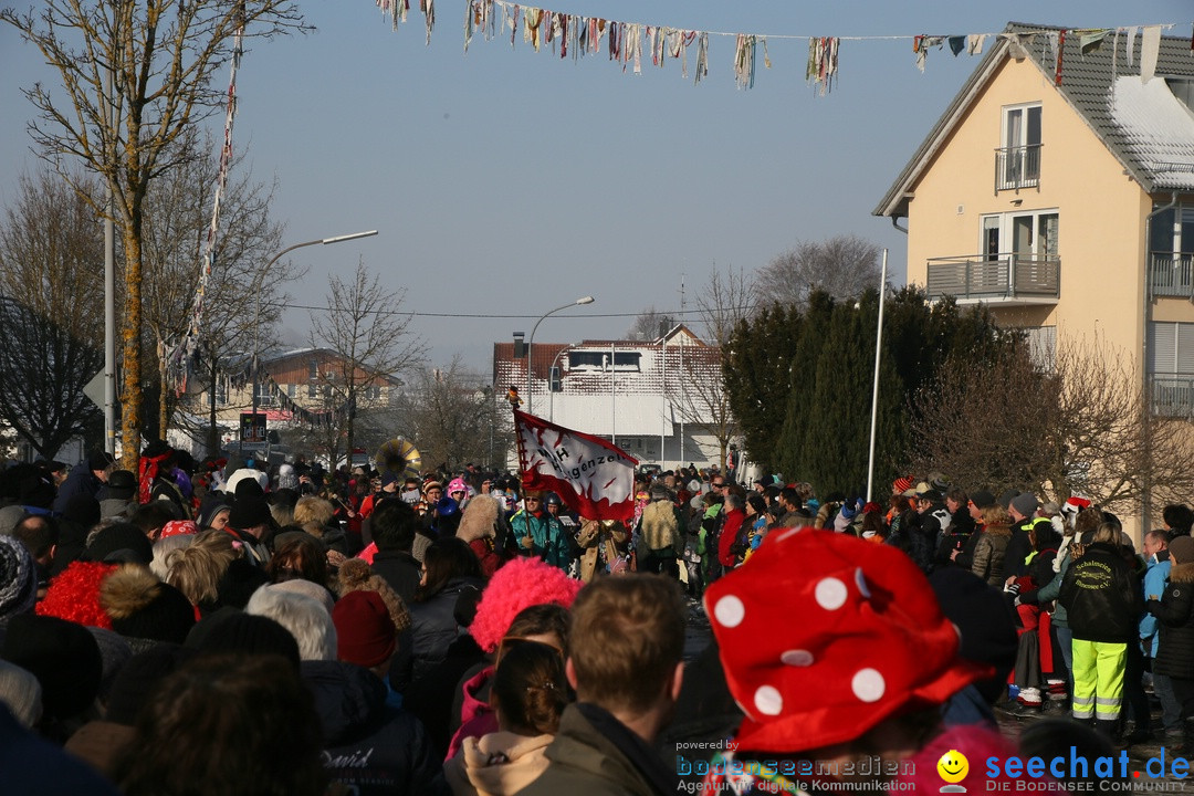 Fastnachtsumzug: Horgenzell bei Ravensburg am Bodensee, 22.01.2017