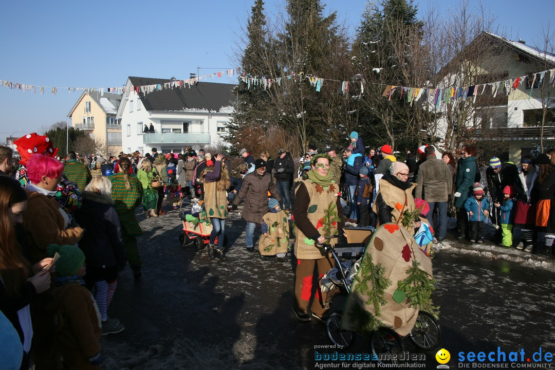 Fastnachtsumzug: Horgenzell bei Ravensburg am Bodensee, 22.01.2017