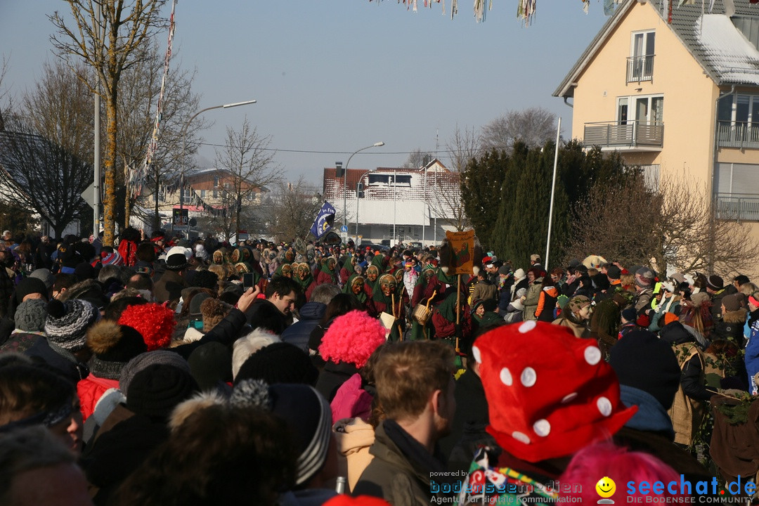 Fastnachtsumzug: Horgenzell bei Ravensburg am Bodensee, 22.01.2017