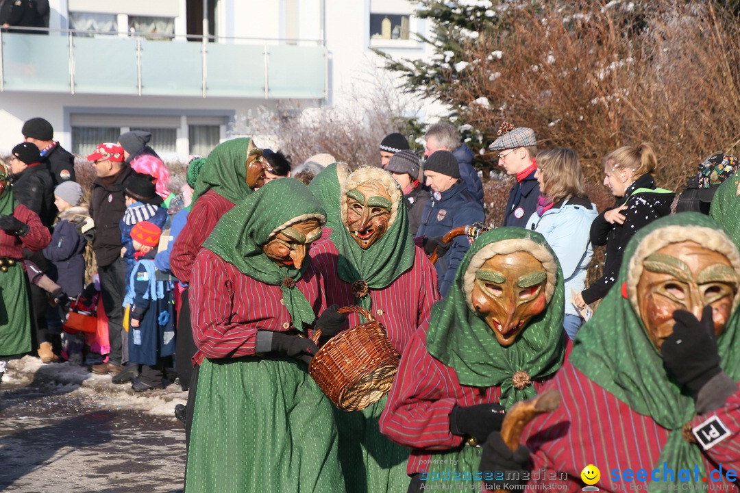 Fastnachtsumzug: Horgenzell bei Ravensburg am Bodensee, 22.01.2017