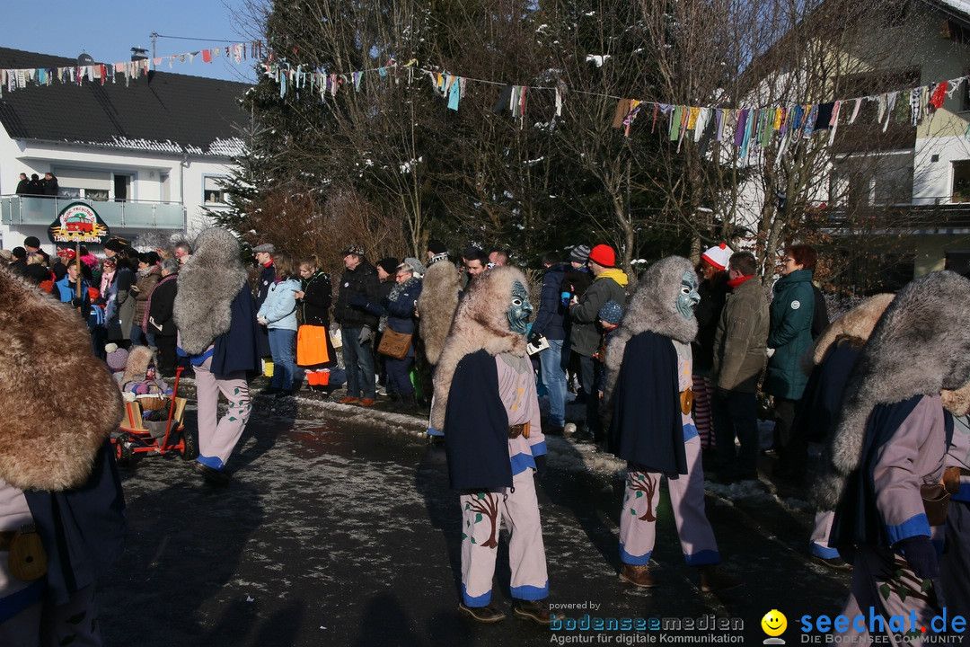 Fastnachtsumzug: Horgenzell bei Ravensburg am Bodensee, 22.01.2017