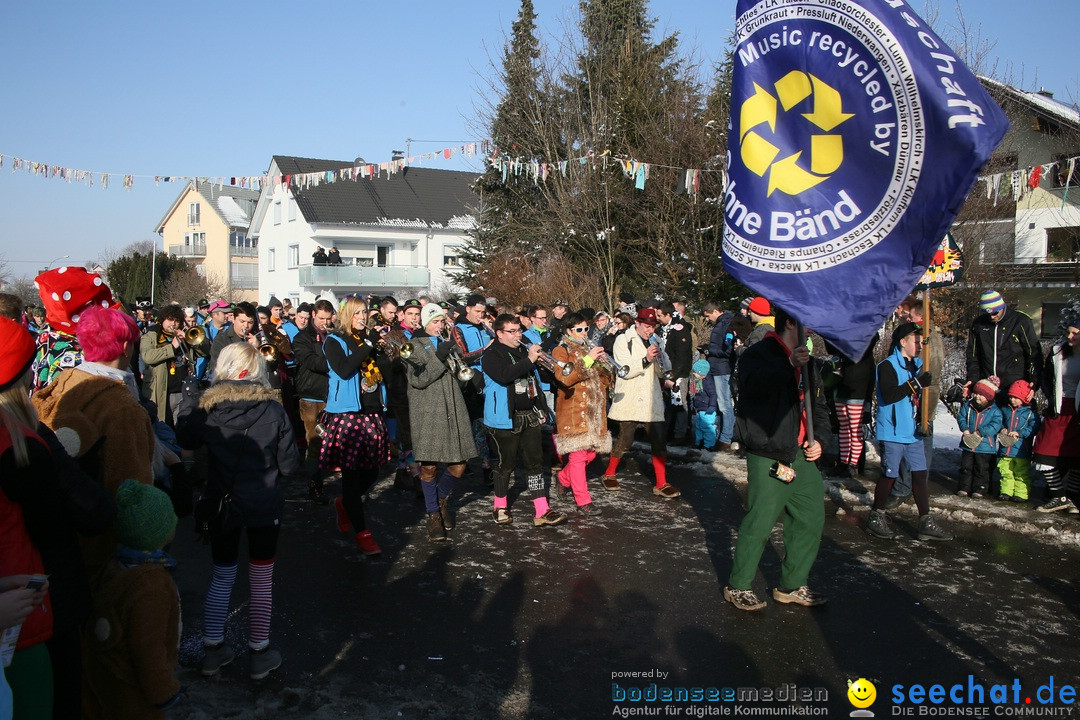 Fastnachtsumzug: Horgenzell bei Ravensburg am Bodensee, 22.01.2017