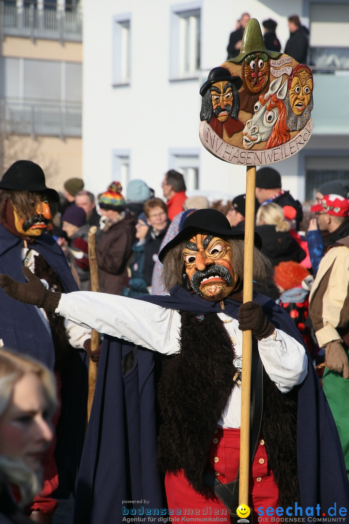 Fastnachtsumzug: Horgenzell bei Ravensburg am Bodensee, 22.01.2017