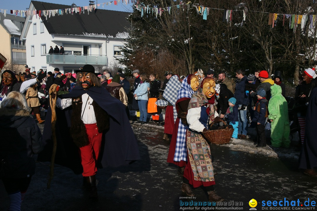 Fastnachtsumzug: Horgenzell bei Ravensburg am Bodensee, 22.01.2017