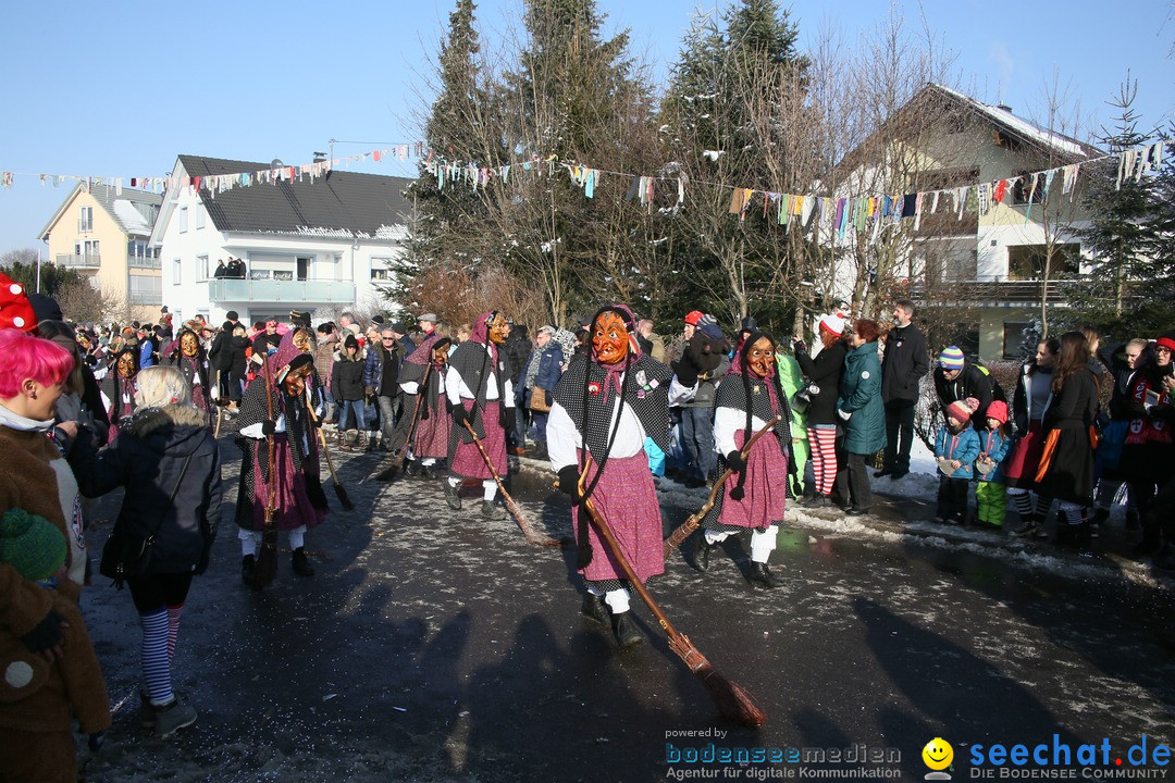 Fastnachtsumzug: Horgenzell bei Ravensburg am Bodensee, 22.01.2017