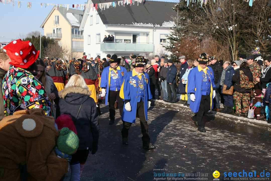 Fastnachtsumzug: Horgenzell bei Ravensburg am Bodensee, 22.01.2017