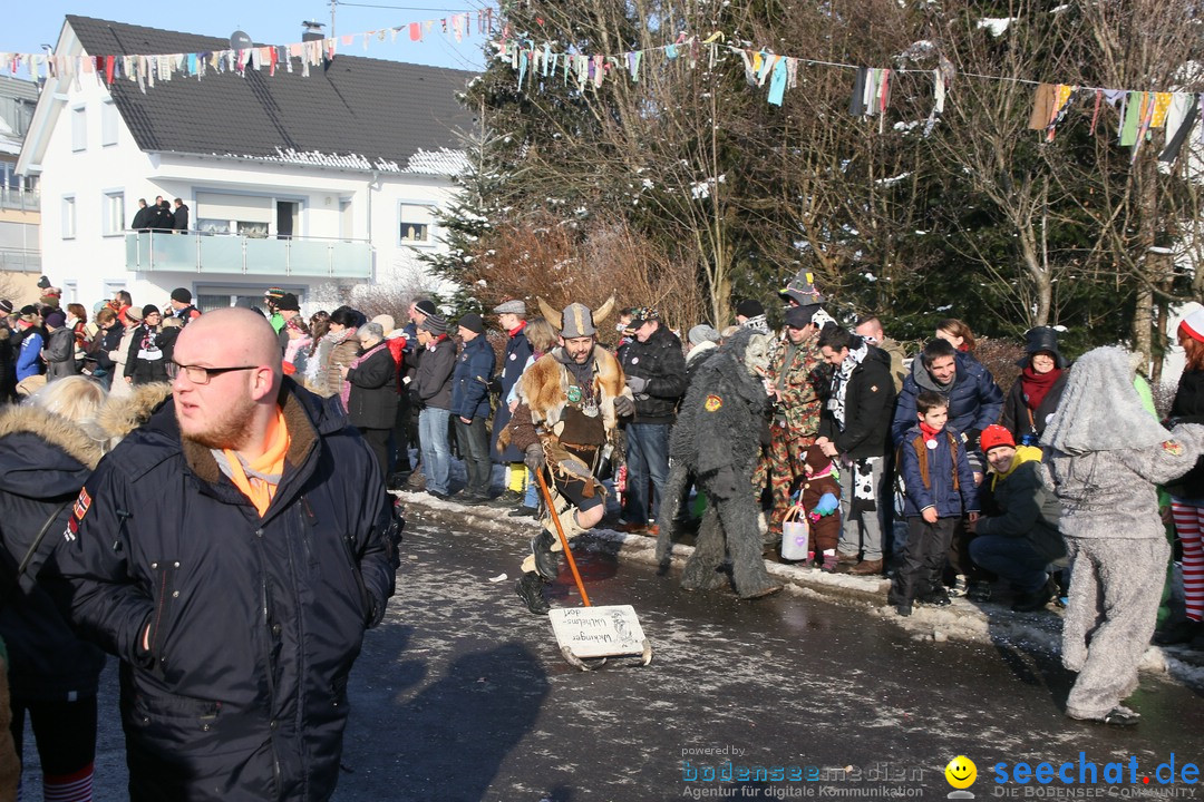 Fastnachtsumzug: Horgenzell bei Ravensburg am Bodensee, 22.01.2017