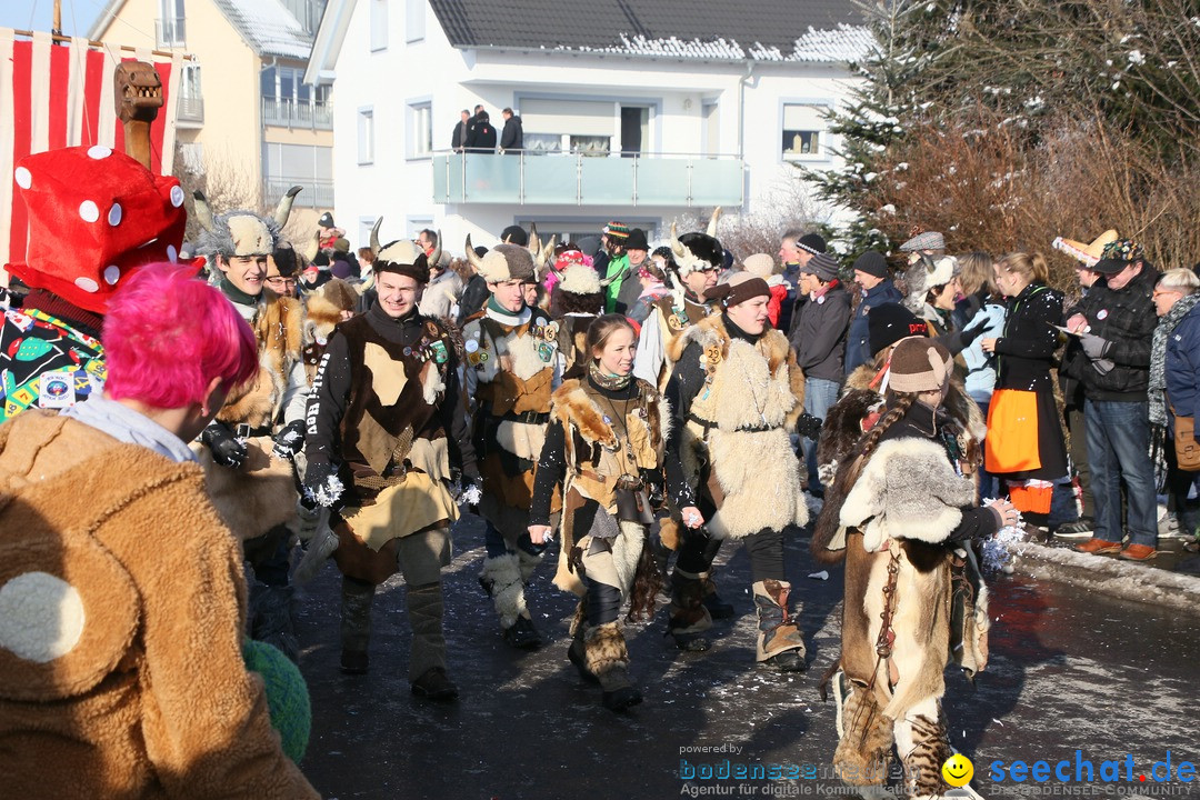 Fastnachtsumzug: Horgenzell bei Ravensburg am Bodensee, 22.01.2017