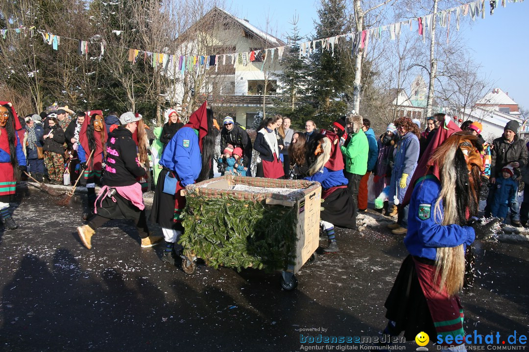 Fastnachtsumzug: Horgenzell bei Ravensburg am Bodensee, 22.01.2017