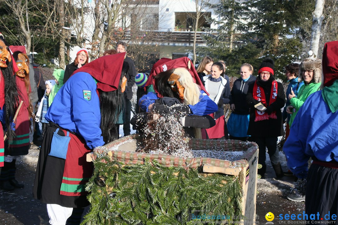 Fastnachtsumzug: Horgenzell bei Ravensburg am Bodensee, 22.01.2017