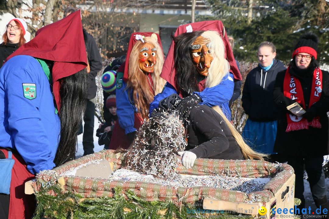 Fastnachtsumzug: Horgenzell bei Ravensburg am Bodensee, 22.01.2017