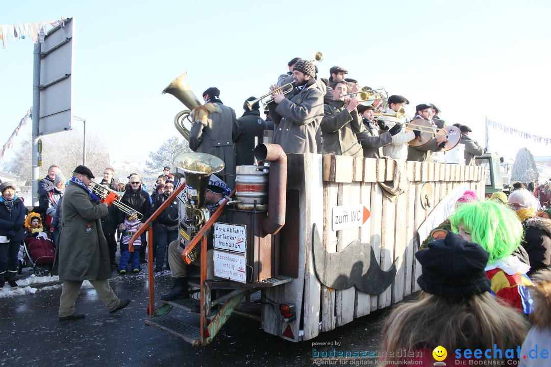 Fastnachtsumzug: Horgenzell bei Ravensburg am Bodensee, 22.01.2017