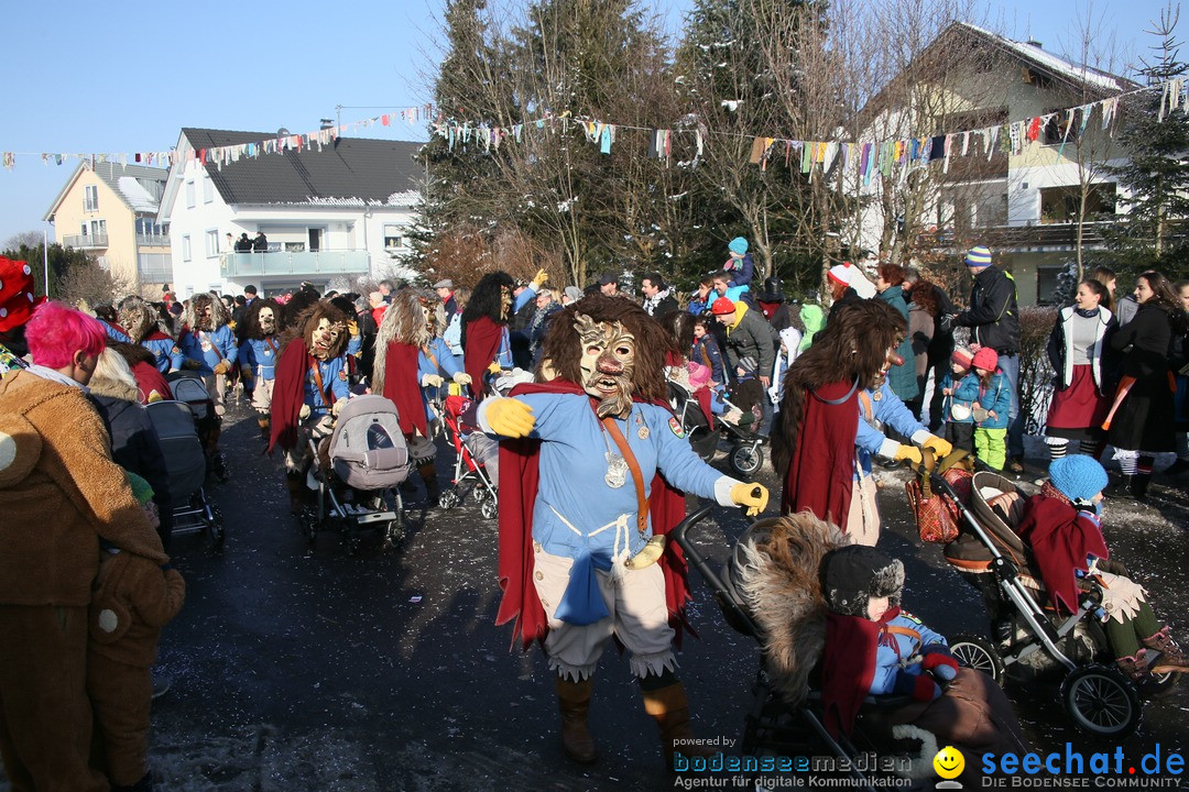 Fastnachtsumzug: Horgenzell bei Ravensburg am Bodensee, 22.01.2017