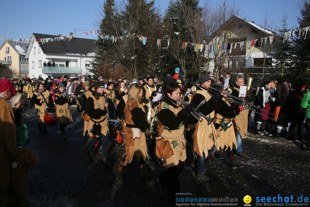 Fastnachtsumzug: Horgenzell bei Ravensburg am Bodensee, 22.01.2017