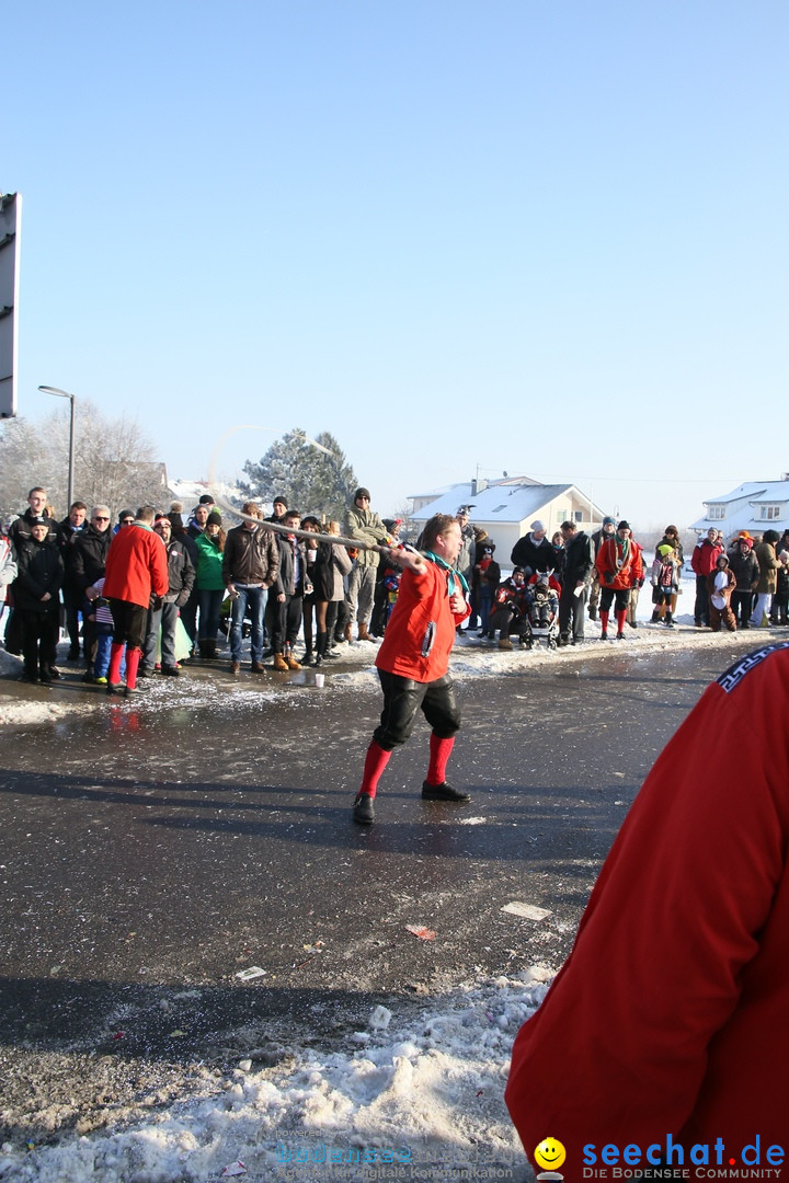 Fastnachtsumzug: Horgenzell bei Ravensburg am Bodensee, 22.01.2017