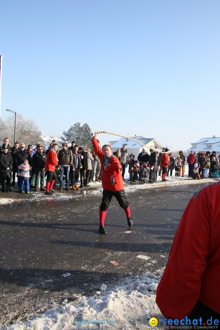 Fastnachtsumzug: Horgenzell bei Ravensburg am Bodensee, 22.01.2017