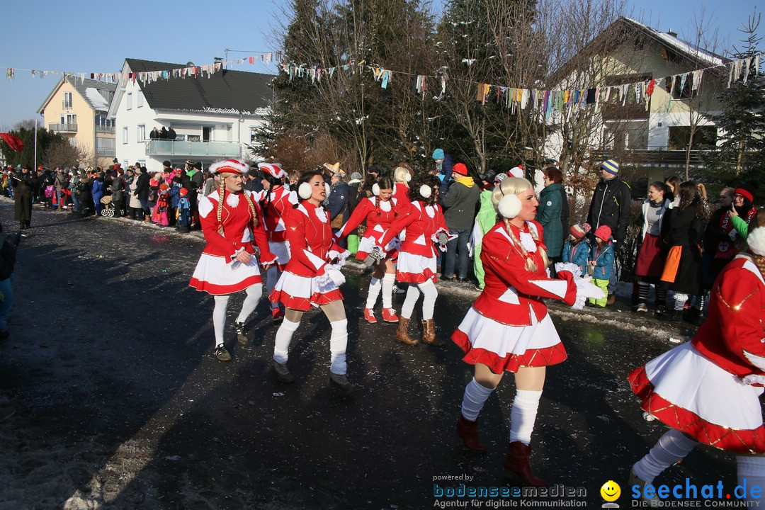 Fastnachtsumzug: Horgenzell bei Ravensburg am Bodensee, 22.01.2017